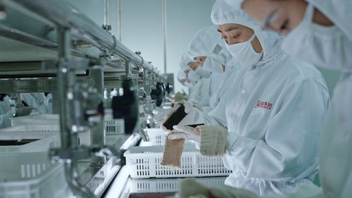 玫好綻放，膠融向新 2026年平陰縣特色產業新聞發布會側記