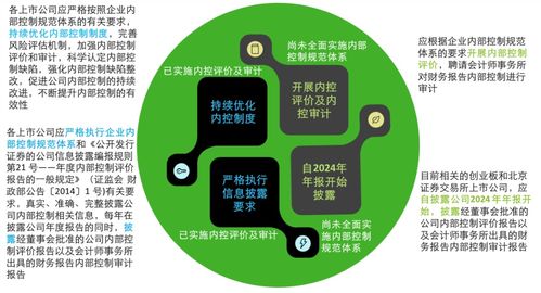 德勤解析《關(guān)于強(qiáng)化上市公司及擬上市企業(yè)內(nèi)部控制建設(shè) 推進(jìn)內(nèi)部控制評(píng)價(jià)和審計(jì)的通知》要點(diǎn)及企業(yè)管理咨詢(xún)啟示
